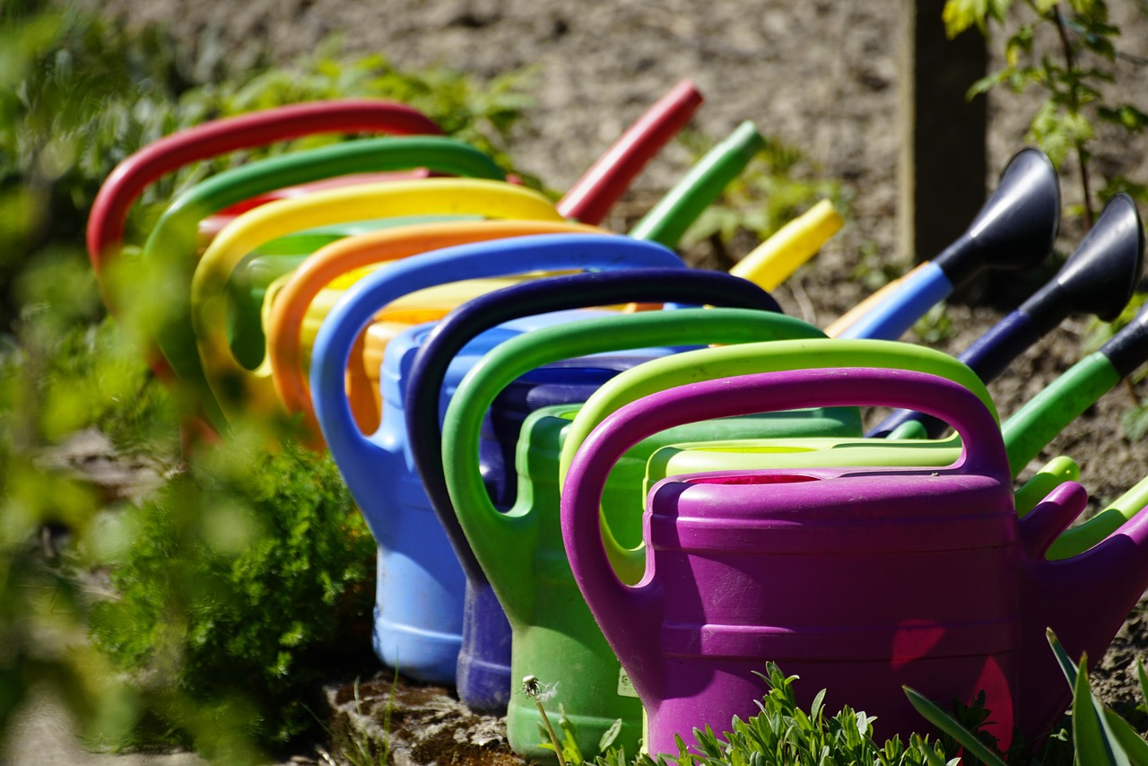 Different colored watering cans lined up next to each other